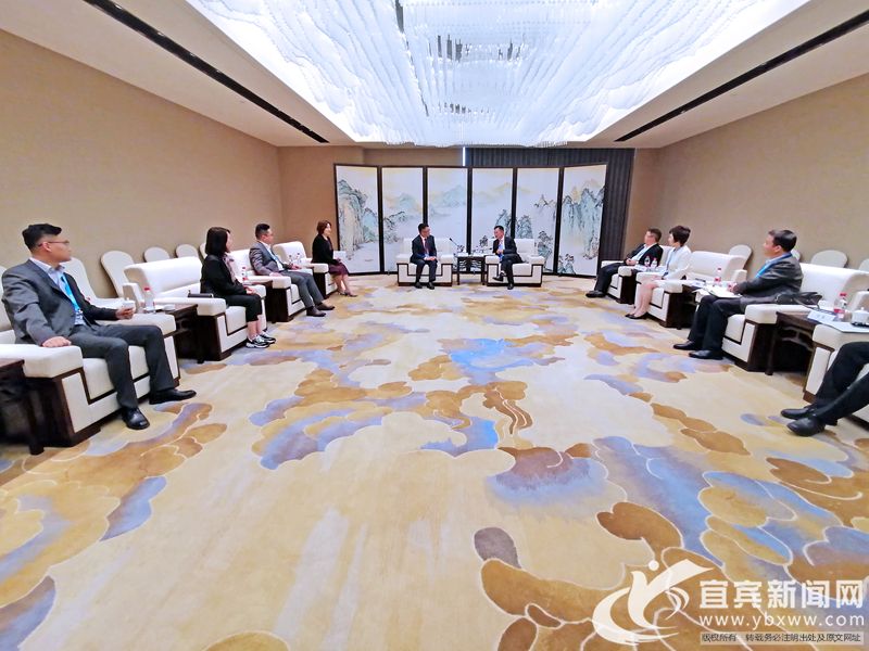 宜宾市李学焦最新职务揭秘，小巷中的独特风味探索者