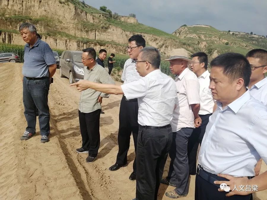 乡宁杨安虎，一路砥砺前行，最新消息揭示梦想成就之旅