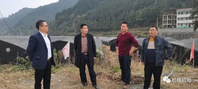 松桃冉启江最新动态，自然美景探索之旅，追寻内心平和与喜悦的旅程