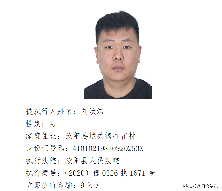 泌阳县最新老赖名单公布，观点阐述与分析