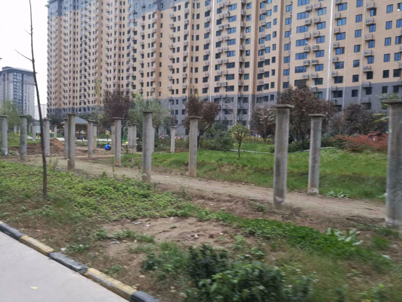 西安百欣花园，友情的绽放、家的温馨——最新消息速递
