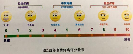 关于疼痛评估量表的最新指南解读
