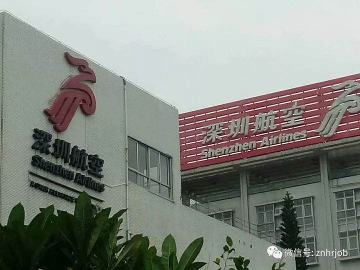 深航招聘网最新招聘信息，学习变化，拥抱未来，开启无限可能职业旅程