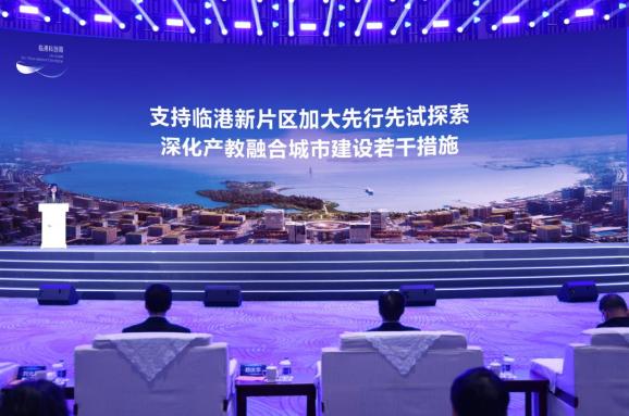 先行试验区最新动态，任务指南与技能学习步骤全解析
