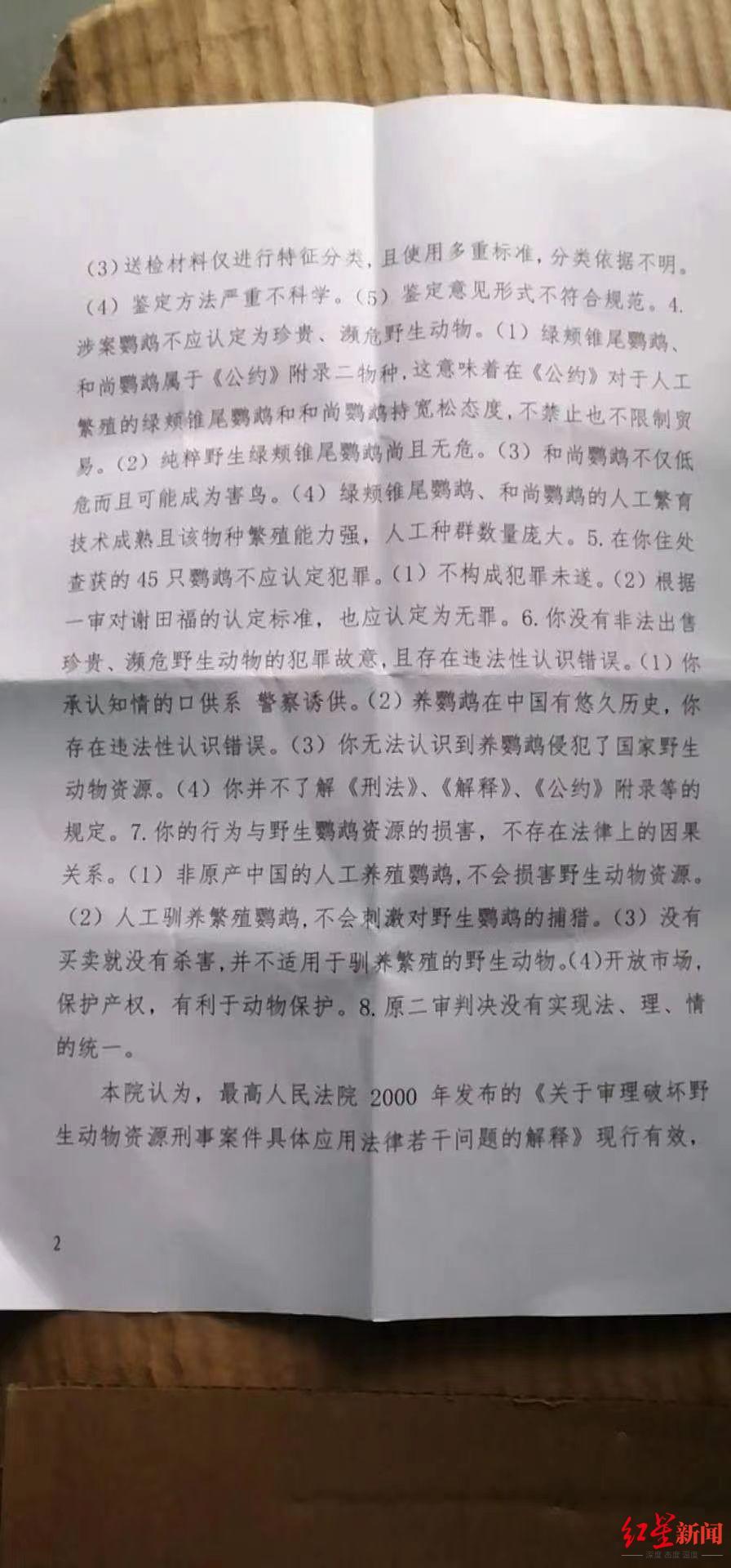 王鹏鹦鹉最新进展,王鹏鹦鹉最新进展，多方观点分析与个人立场阐述