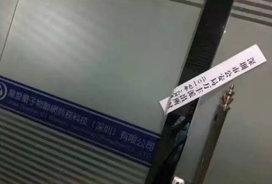 龙爱量子最新动态揭秘，与自然神秘交响的量子探索之旅