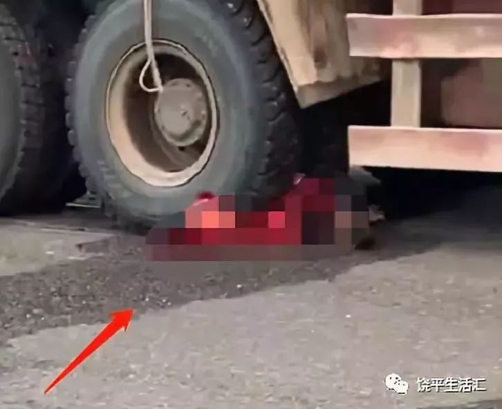饶平车祸最新消息与一场自然美景的治愈之旅