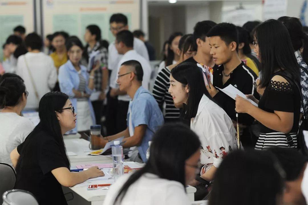 义乌人才网最新招聘信息，科技驱动梦想，人才塑造未来成就之旅