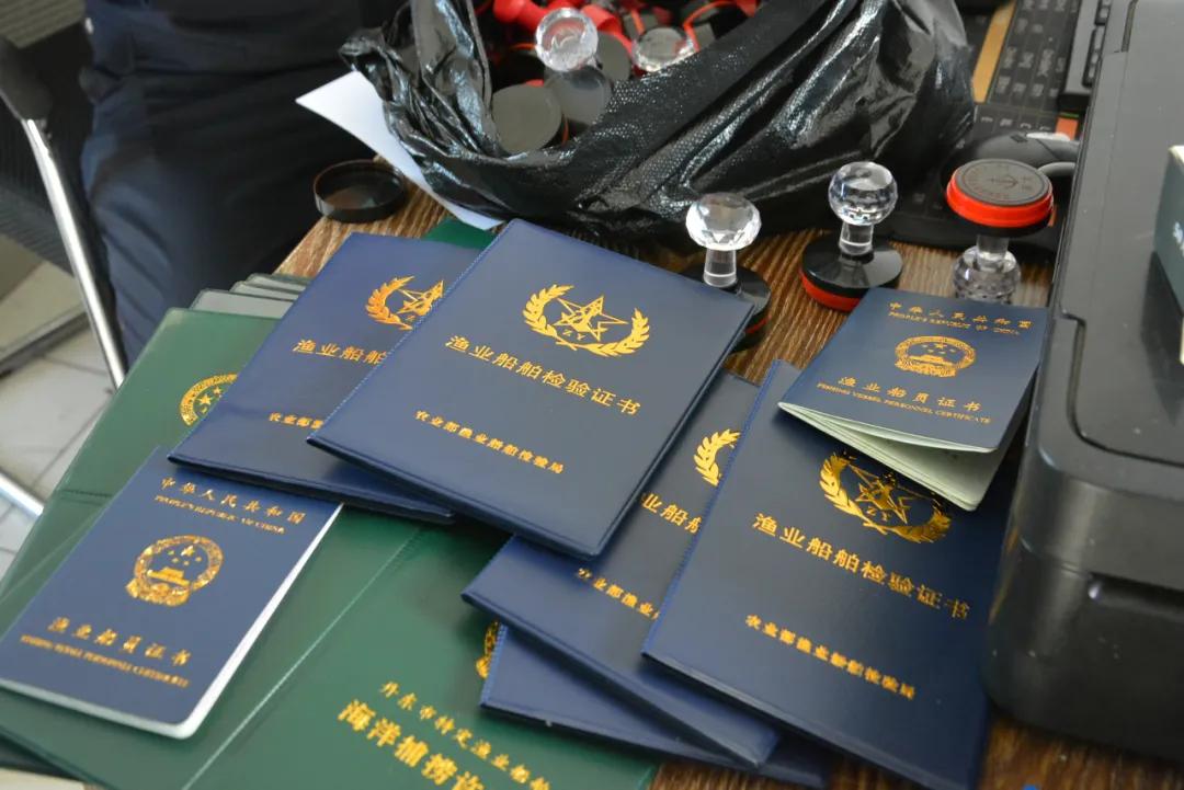 丹东手机号奇缘，友情交易与特殊陪伴的交织故事