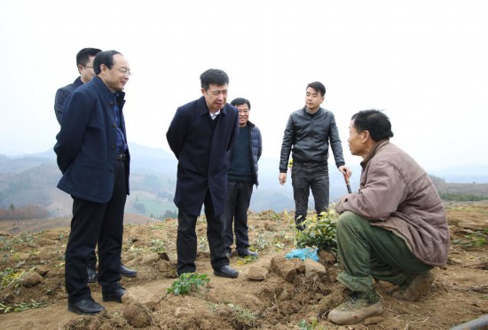 安康市委常委最新名单详解，获取步骤指南（含初学者与进阶用户适用）