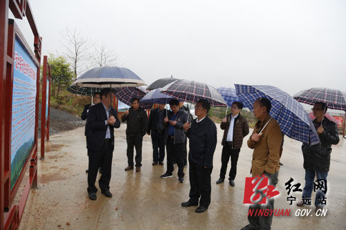 宁远红网下的温馨日常，趣事与情感纽带回顾 2016最新消息与年度记忆