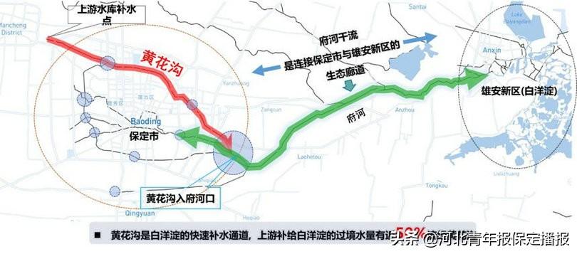 保定站东广场最新动态揭秘，奇遇连连