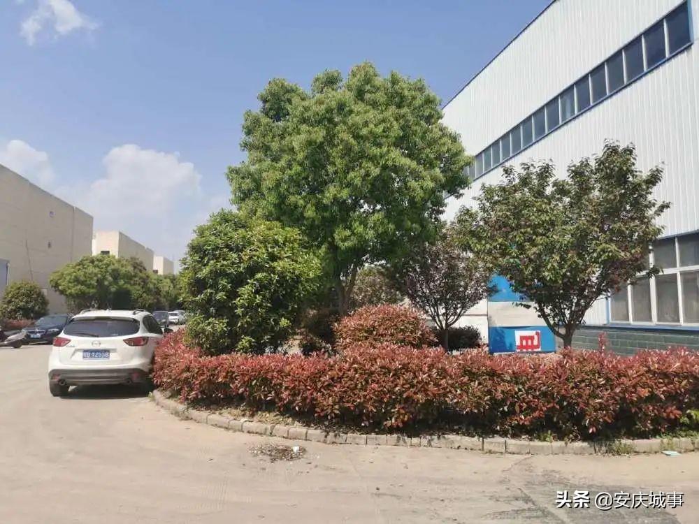 桐城双新开发区前沿科技产品盛宴最新动态