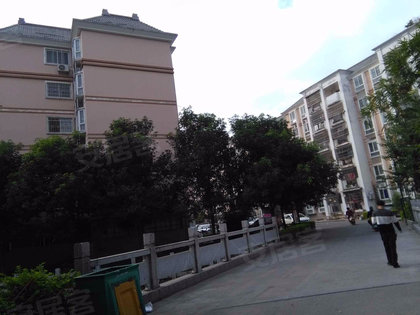 太原金峰花园最新动态更新