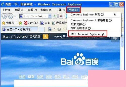 最新IE浏览器版本探索之旅，与自然美景的邂逅