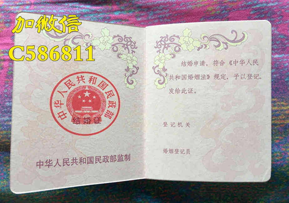 最新离婚证图片概览，自然美景下的旅行探索