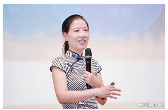叶檀财经最新文章聚焦，要点、趋势与展望