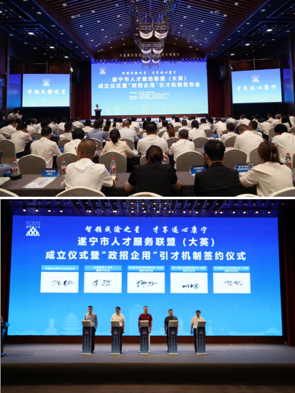 遂宁最新人才招聘信息，城市梦想与友情纽带交织的职业机遇