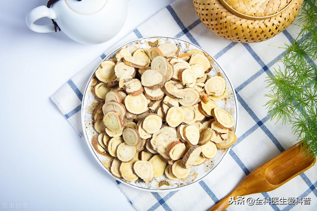 中药大辞典最新版全面审视与深度阐述
