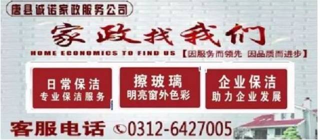 定州市最新司机招工,定州市最新司机招工，路上的奇遇与情感的纽带