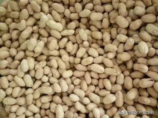 北镇花生米最新价格，市场波动与消费者选择分析