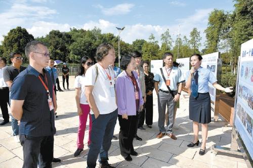 碧水半岛最新房价揭秘，探析、观点与解析