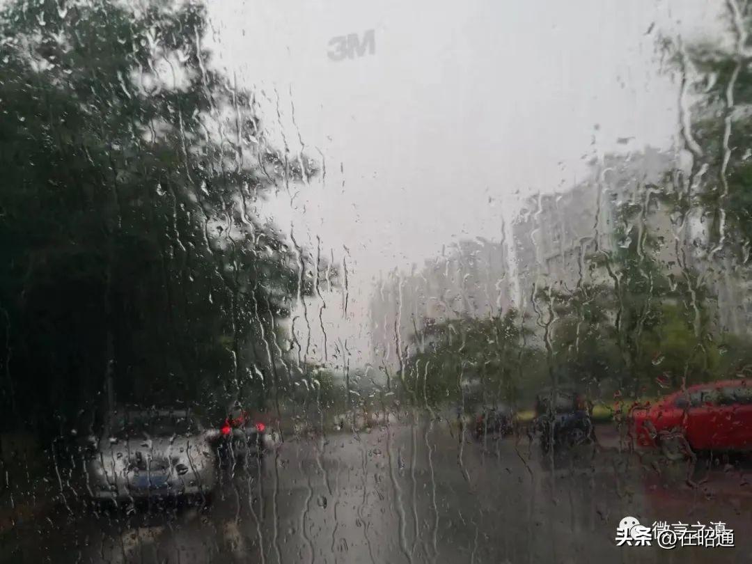 云南镇雄车祸现场最新报道🚨