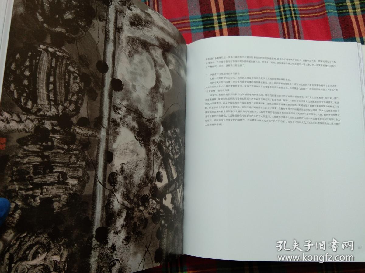 画家邵戈中国最新排名，小巷深处的艺术秘境探索者