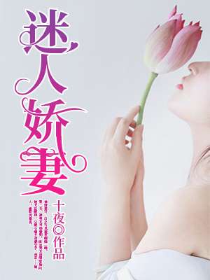 遵守法律道德，远离色情内容，陌妻迷人无相关章节提供