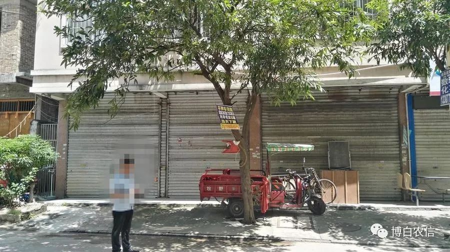 文地镇最新公路征地，科技引领未来，无限可能即将呈现
