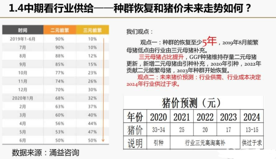 新奥2024四不像资料,高效计划实施_PDV9.422炼肉境
