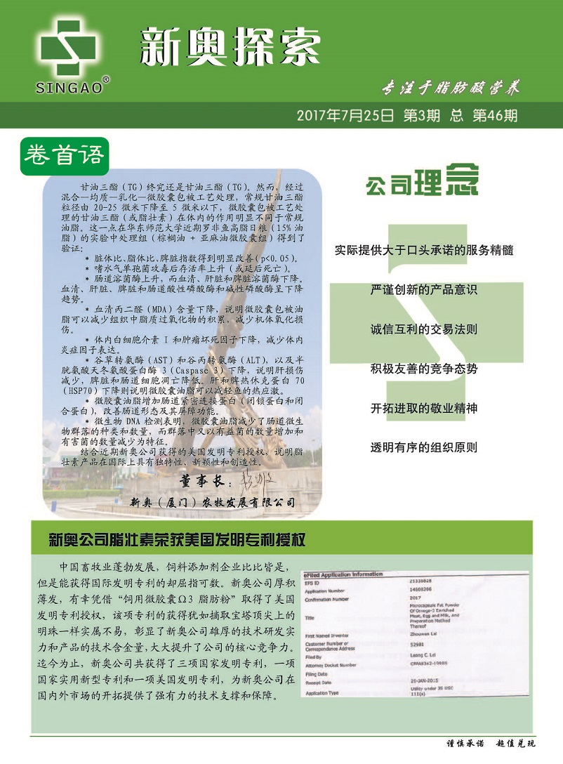 新奥免费三中三资料,创新策略设计_EUD9.638深度版