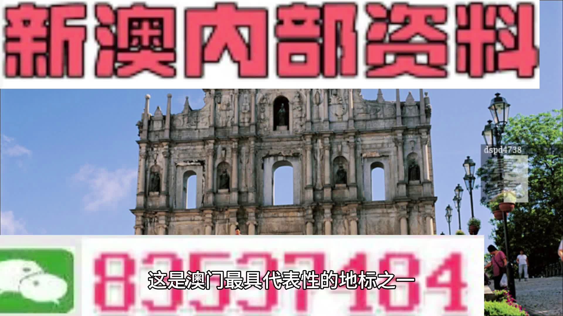 澳门广东八二站免费资料查询,生物学_ETS58.257复古版