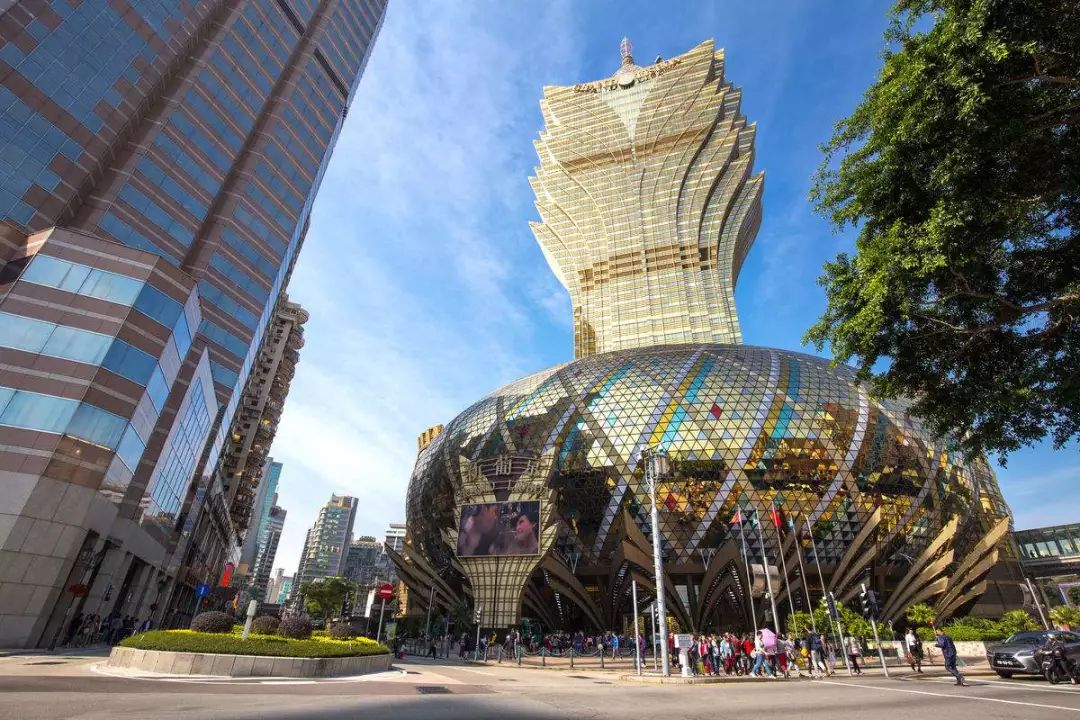 澳门最精准正最精准,实地观察解释定义_WZH9.143高端体验版