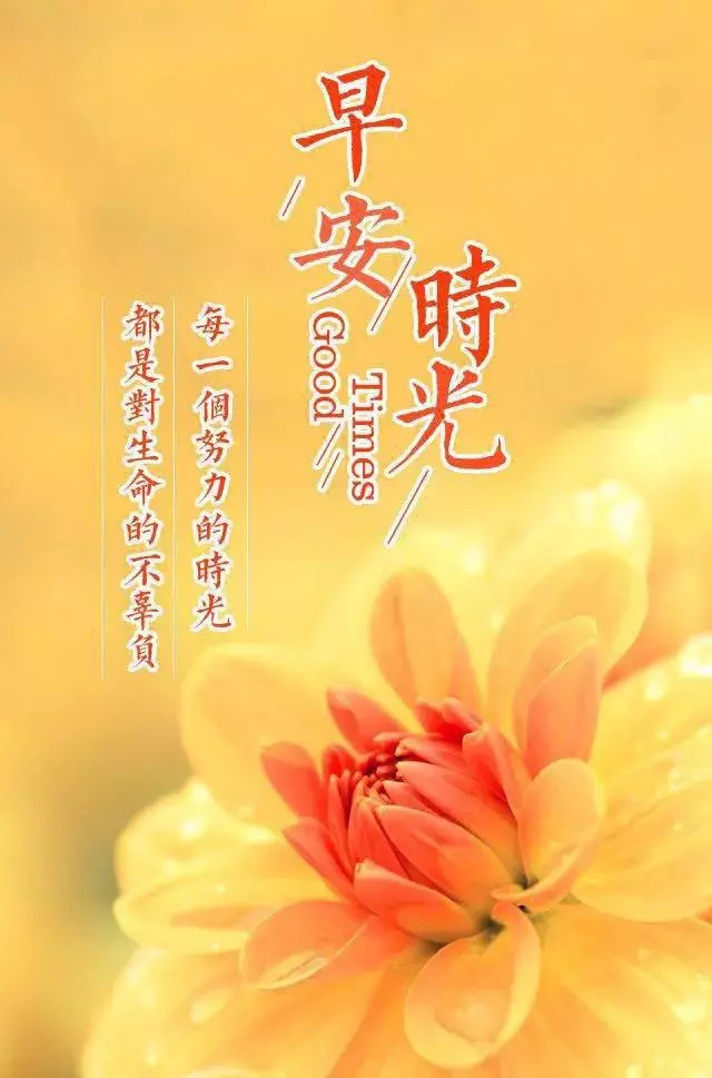 最新早安图片大全图片,最新早安图片大全图片，美好一天的起点
