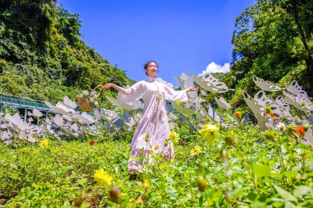 蝴蝶谷最新网站,蝴蝶谷最新网站——温馨日常的趣事与友情纽带