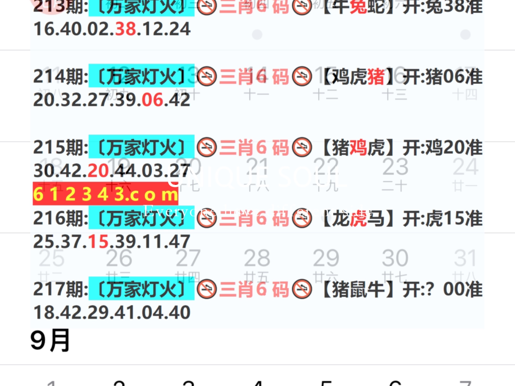 新奥门开奖结果2024开奖记录查询表,实证分析详细枕_KUY83.287方便版