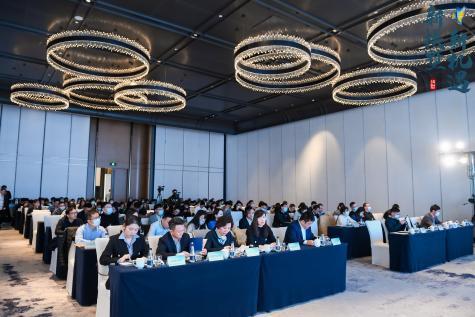精准49码资料大全,数据指导策略规划_RDT9.954智巧版