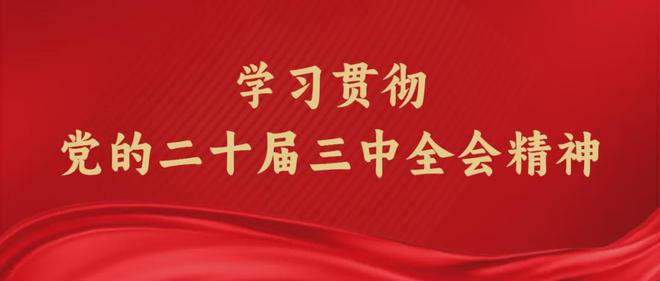 2024年资料免费大全优势,动态解读分析_ZYN9.901极致版