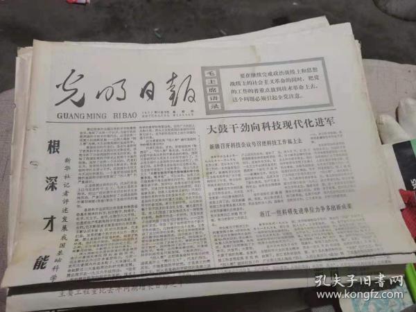 2024澳门天天六开好彩,现代化解析定义_VSI58.376光辉版