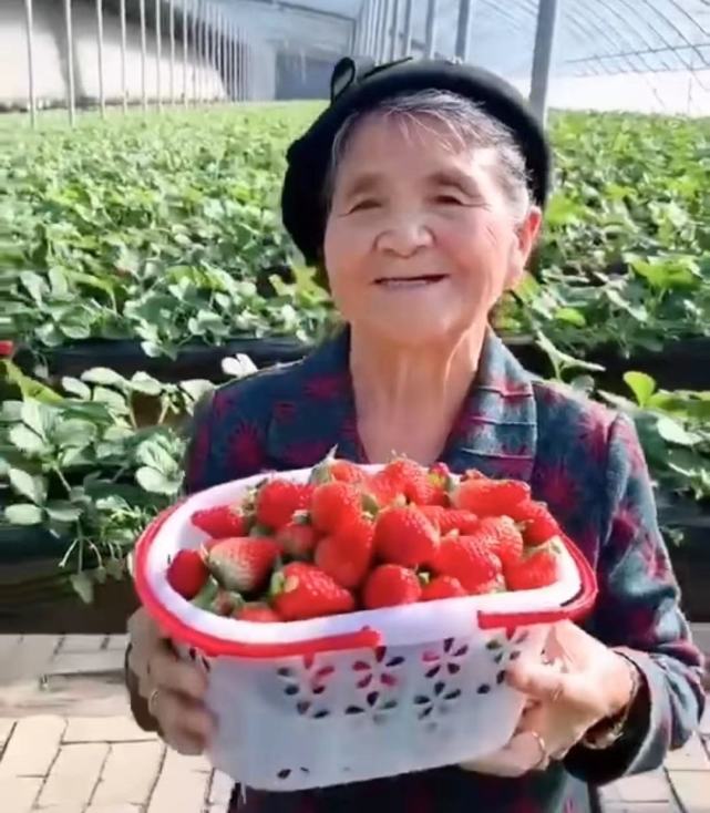 新澳资彩长期免费资料水果奶奶,仿真方案实施_VPV83.729资源版