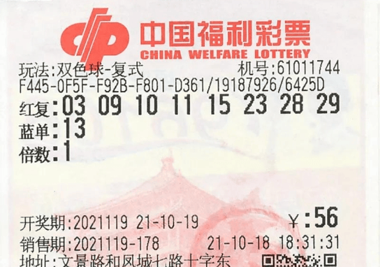新澳门大众网官网今晚开奖结果,科学分析解释说明_TGS83.125投影版