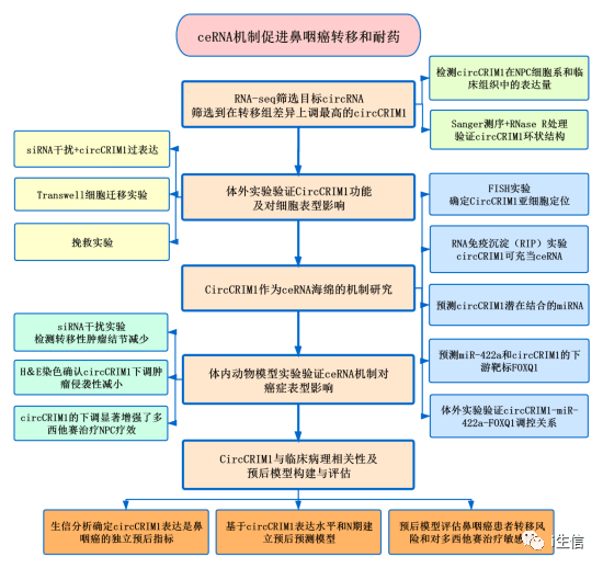 芳草地2024澳门资料,机制评估方案_VJN9.813先锋科技