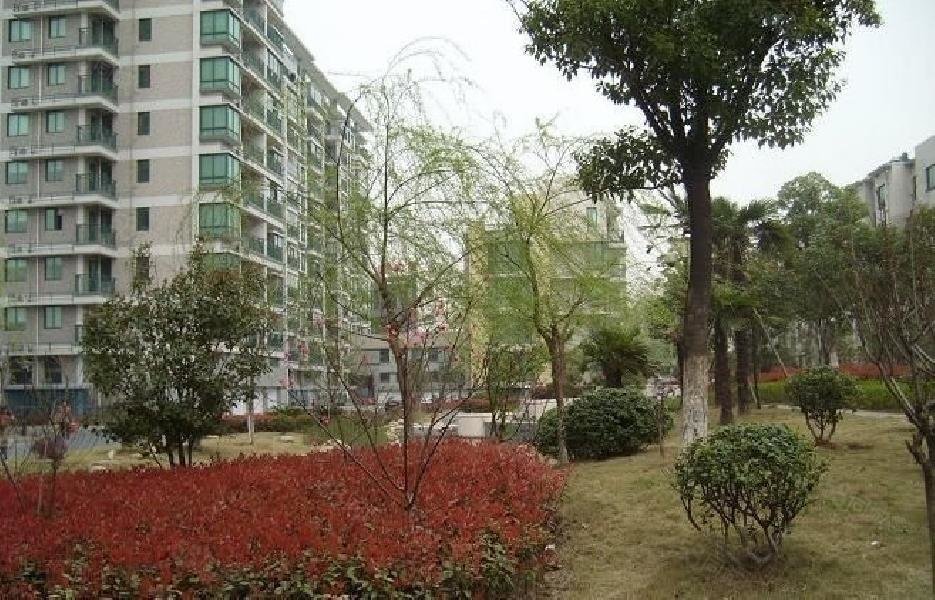 绍兴亲亲家园最新价格,绍兴亲亲家园最新价格，变化中的家园，成长中的你