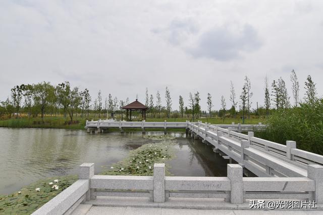 管湾湿地公园最新动态,管湾湿地公园最新动态，探访与体验指南