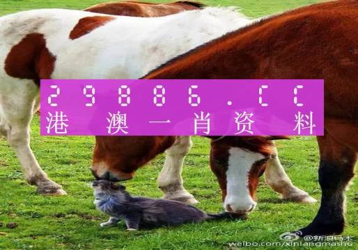 轻质建筑材料制造 第358页