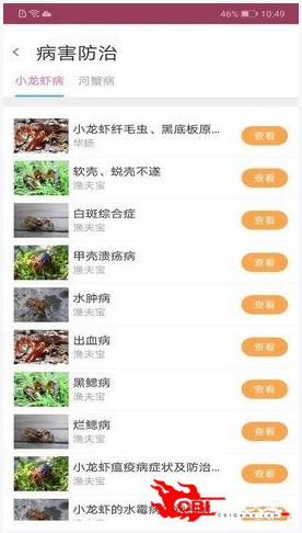 轻质建筑材料销售 第366页