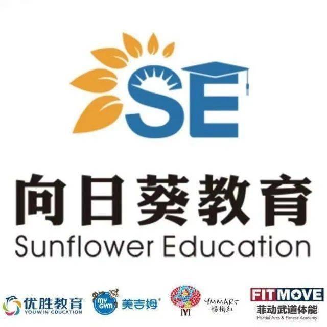 薛城最新钟点工招聘，职业机会与选择选择指南