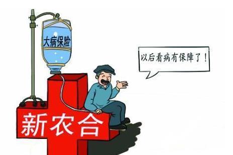 新农合最新动态，振奋人心的励志篇章