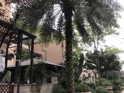 依云江湾最新消息,依云江湾最新消息，一个全面的观点分析